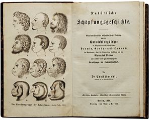 Ernst Haeckel Natürliche Schöpfungsgeschichte 1868